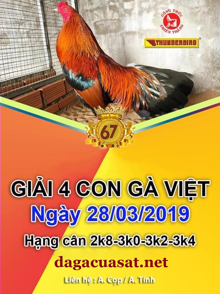 Giải 4 con gà Việt ngày 28/3/2019