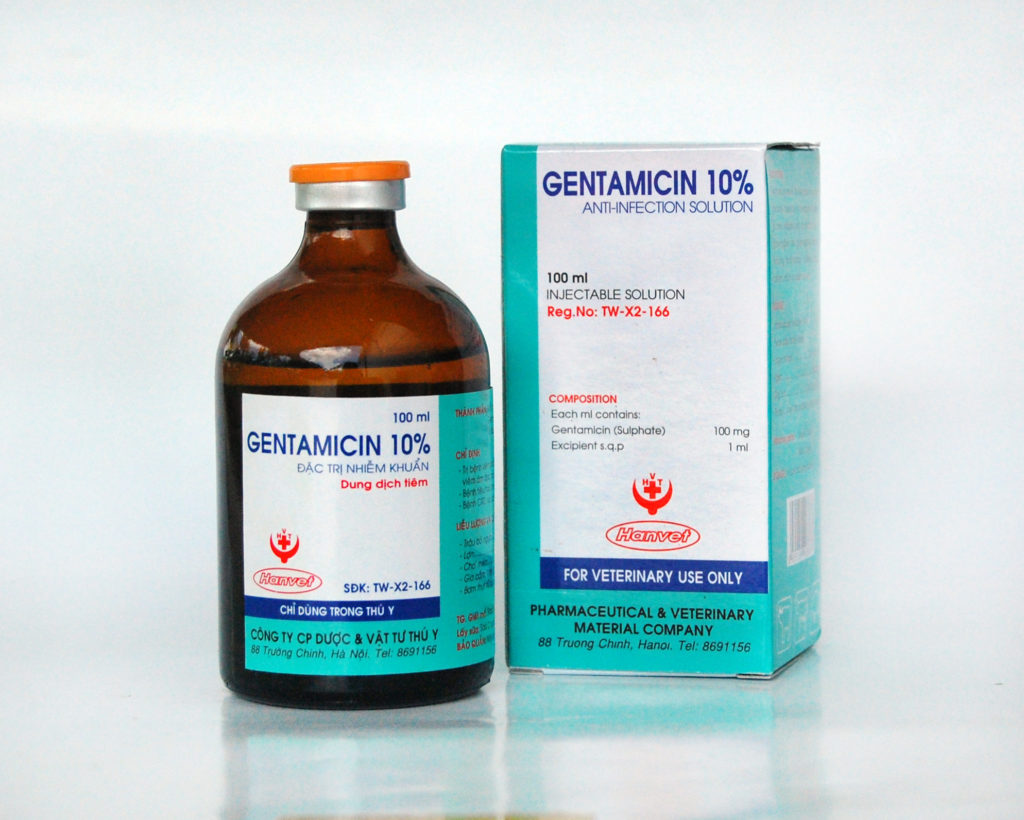 gentamicin 